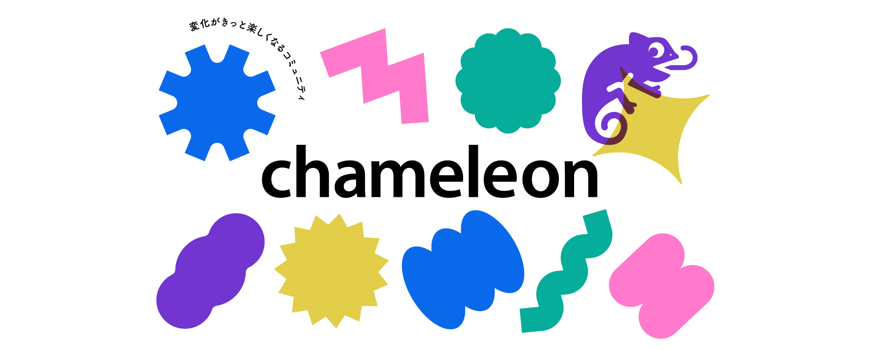 img chameleon